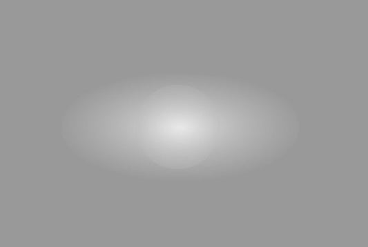Lee Filters 228 Brushed Silk- 48" x 25' Roll - Grip Support Store