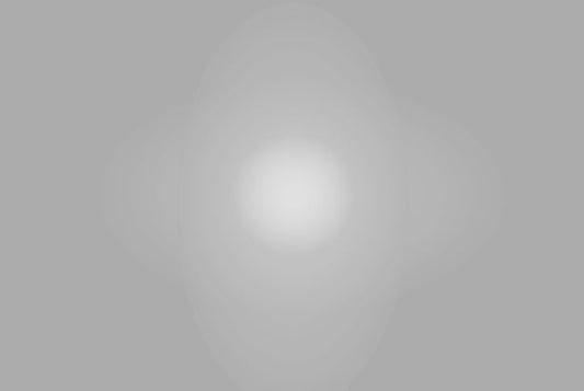 Lee Filters 434 1/4 Grid Cloth - 54" x 25' Roll - Grip Support Store